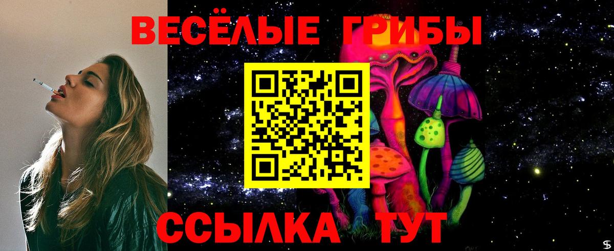 Псилоцибиновые грибы Psilocybine cubensis Набережные Челны