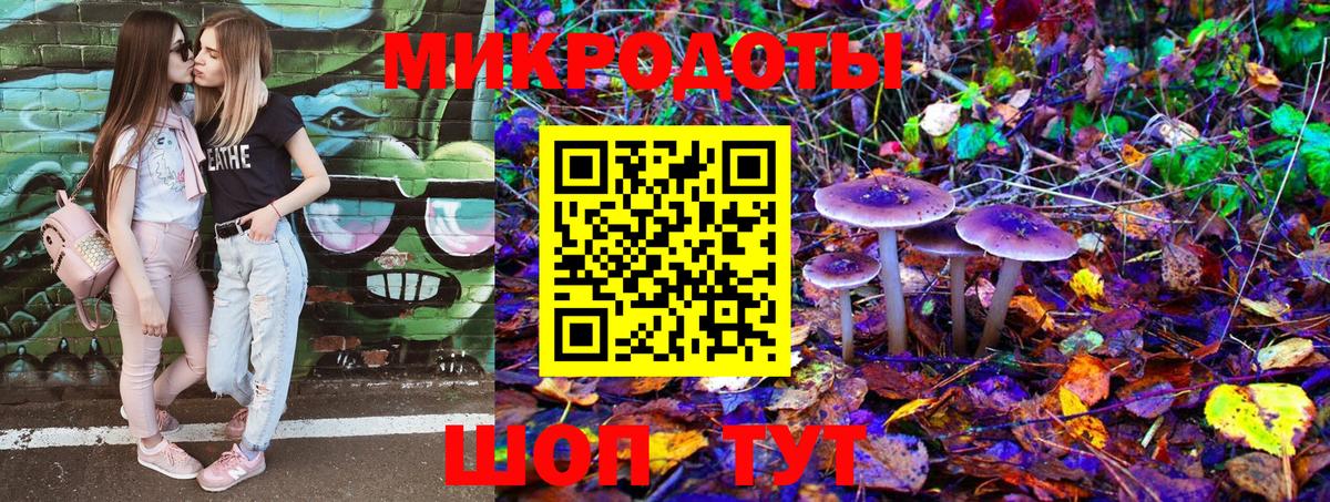 Набережные Челны  Галлюциногенные грибы Psilocybe  Вход с VPN 